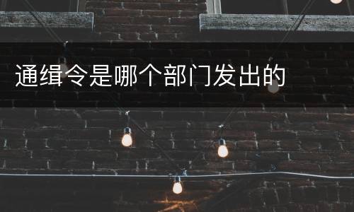 通缉令是哪个部门发出的
