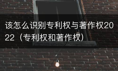 该怎么识别专利权与著作权2022（专利权和著作权）