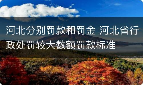 河北分别罚款和罚金 河北省行政处罚较大数额罚款标准