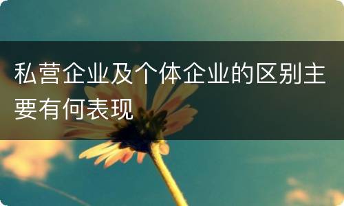 私营企业及个体企业的区别主要有何表现