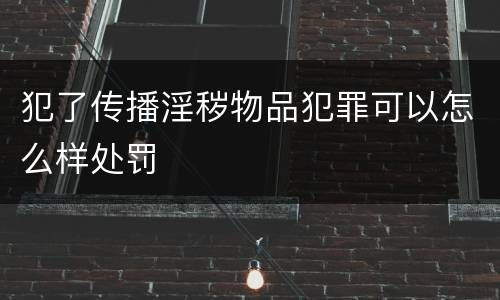 犯了传播淫秽物品犯罪可以怎么样处罚