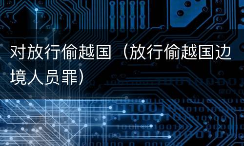 对放行偷越国（放行偷越国边境人员罪）