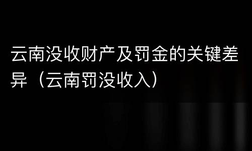 云南没收财产及罚金的关键差异（云南罚没收入）