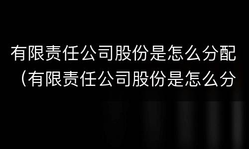 有限责任公司股份是怎么分配（有限责任公司股份是怎么分配出来的）