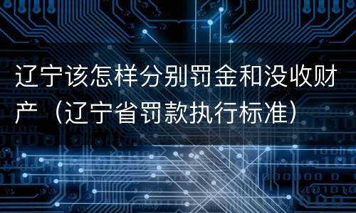 辽宁该怎样分别罚金和没收财产（辽宁省罚款执行标准）