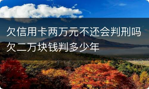欠信用卡两万元不还会判刑吗欠二万块钱判多少年