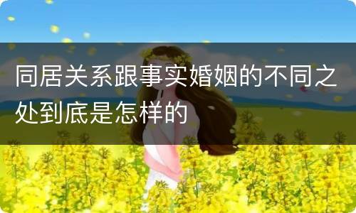 同居关系跟事实婚姻的不同之处到底是怎样的