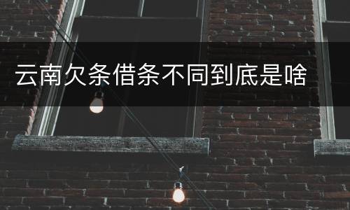 云南欠条借条不同到底是啥