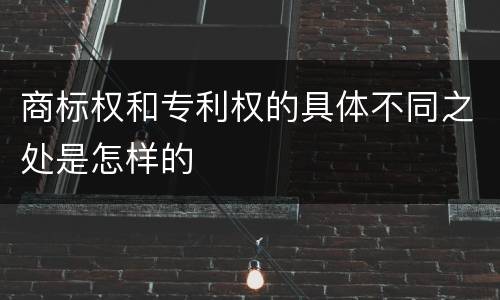 商标权和专利权的具体不同之处是怎样的