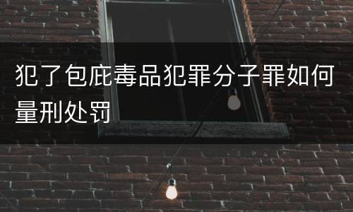 犯了包庇毒品犯罪分子罪如何量刑处罚