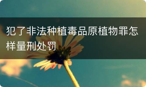犯了非法种植毒品原植物罪怎样量刑处罚