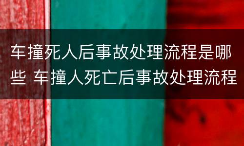 车撞死人后事故处理流程是哪些 车撞人死亡后事故处理流程