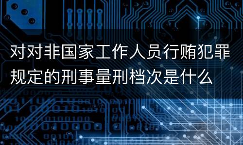 对对非国家工作人员行贿犯罪规定的刑事量刑档次是什么