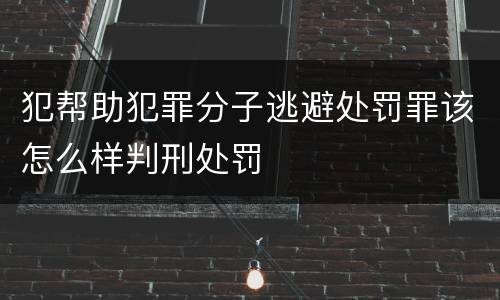 犯帮助犯罪分子逃避处罚罪该怎么样判刑处罚