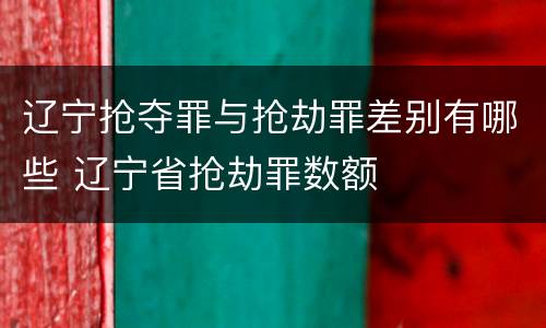 辽宁抢夺罪与抢劫罪差别有哪些 辽宁省抢劫罪数额
