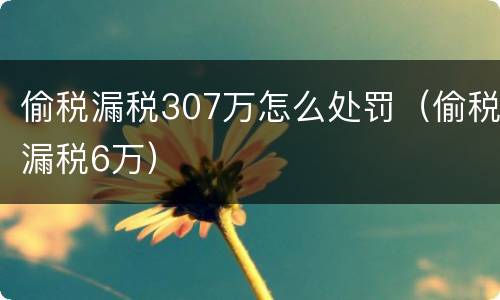 偷税漏税307万怎么处罚（偷税漏税6万）
