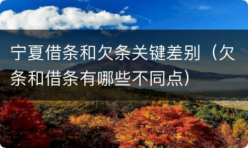 宁夏借条和欠条关键差别（欠条和借条有哪些不同点）