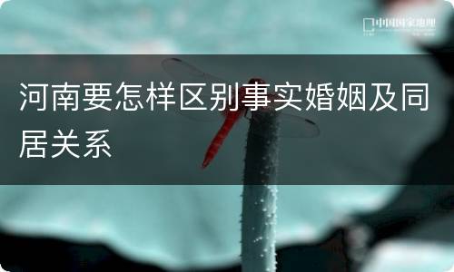 河南要怎样区别事实婚姻及同居关系