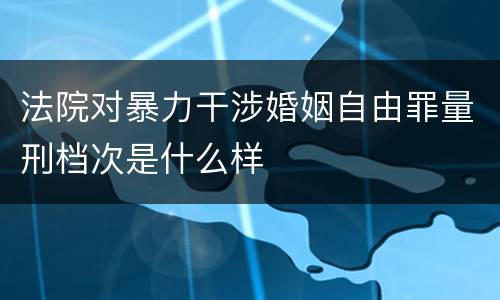 法院对暴力干涉婚姻自由罪量刑档次是什么样