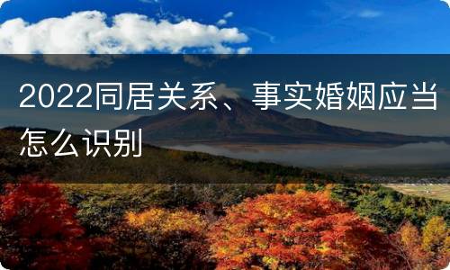 2022同居关系、事实婚姻应当怎么识别