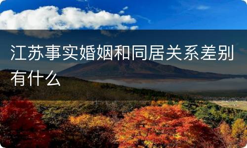 江苏事实婚姻和同居关系差别有什么
