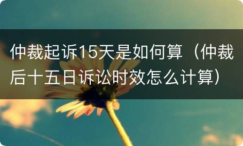 仲裁起诉15天是如何算（仲裁后十五日诉讼时效怎么计算）