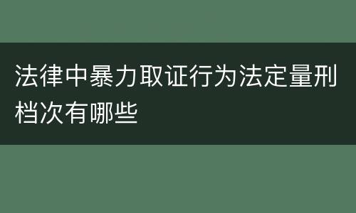 法律中暴力取证行为法定量刑档次有哪些