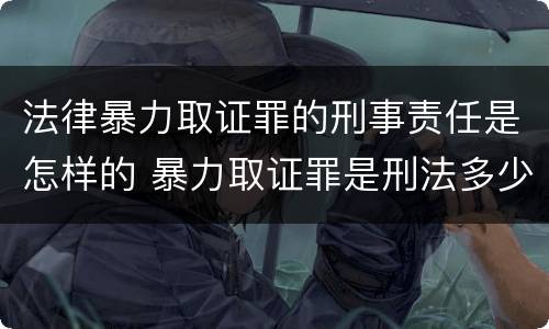 法律暴力取证罪的刑事责任是怎样的 暴力取证罪是刑法多少条