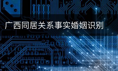 广西同居关系事实婚姻识别