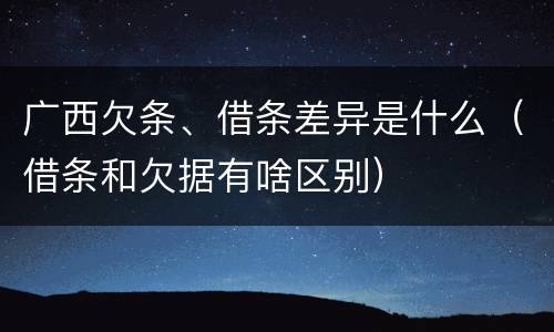 广西欠条、借条差异是什么（借条和欠据有啥区别）
