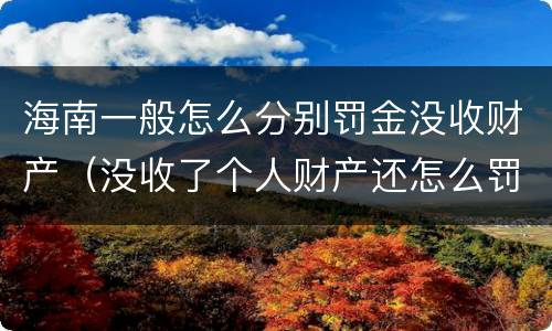 海南一般怎么分别罚金没收财产（没收了个人财产还怎么罚金）