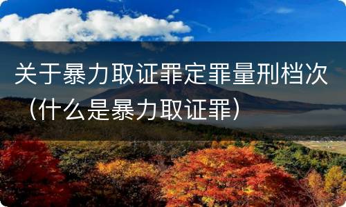 关于暴力取证罪定罪量刑档次（什么是暴力取证罪）