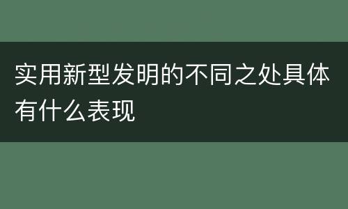 实用新型发明的不同之处具体有什么表现