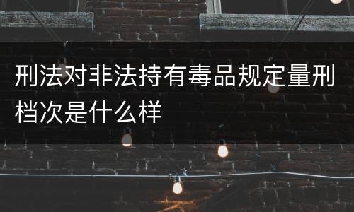 刑法对非法持有毒品规定量刑档次是什么样
