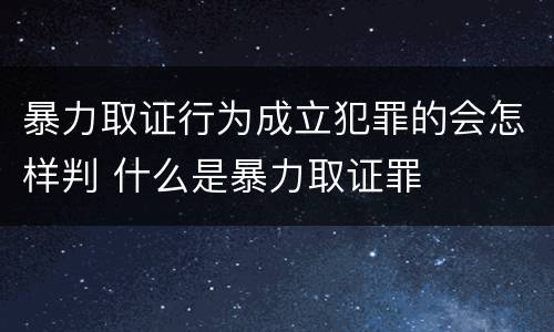 暴力取证行为成立犯罪的会怎样判 什么是暴力取证罪