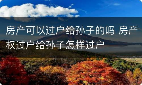 房产可以过户给孙子的吗 房产权过户给孙子怎样过户