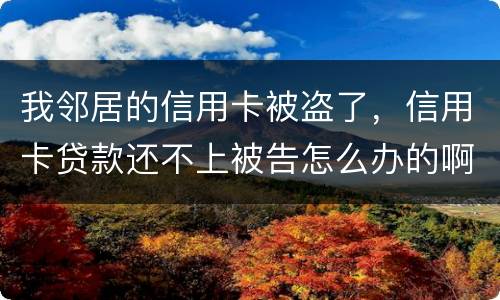 我邻居的信用卡被盗了，信用卡贷款还不上被告怎么办的啊