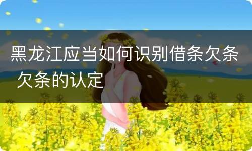 黑龙江应当如何识别借条欠条 欠条的认定