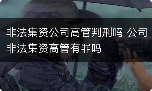 非法集资公司高管判刑吗 公司非法集资高管有罪吗