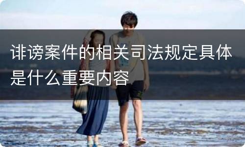 诽谤案件的相关司法规定具体是什么重要内容