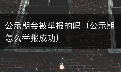公示期会被举报的吗（公示期怎么举报成功）