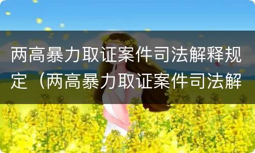 两高暴力取证案件司法解释规定（两高暴力取证案件司法解释规定解读）