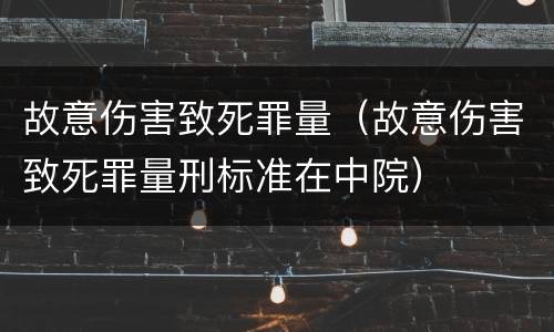 故意伤害致死罪量（故意伤害致死罪量刑标准在中院）