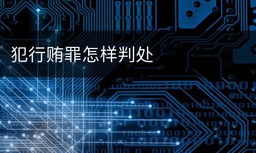 犯行贿罪怎样判处