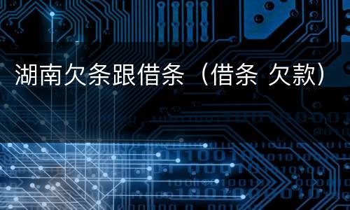湖南欠条跟借条（借条 欠款）