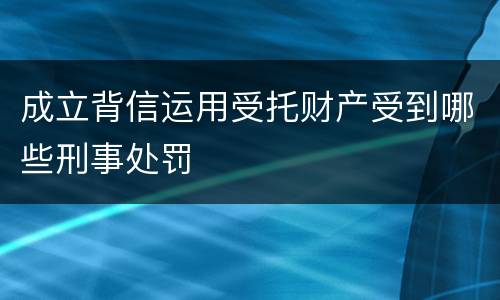 成立背信运用受托财产受到哪些刑事处罚