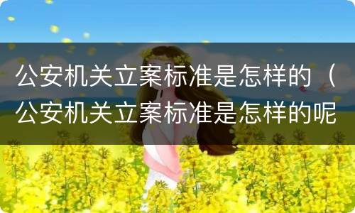 公安机关立案标准是怎样的（公安机关立案标准是怎样的呢）