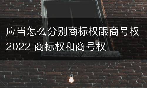 应当怎么分别商标权跟商号权2022 商标权和商号权