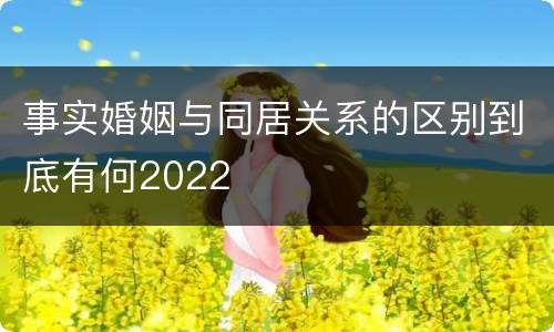 事实婚姻与同居关系的区别到底有何2022