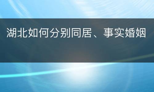 湖北如何分别同居、事实婚姻